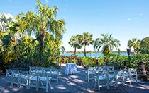 Luau Pointe