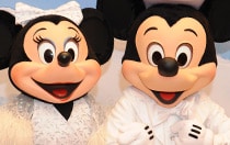 Disney Characters