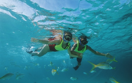 A man and a woman snorkel in the Caribbean surrounded by tropical fish