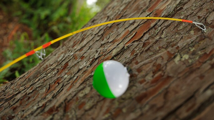 A fishing pole propped against a tree